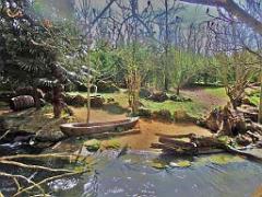 149 BIO PARC DE DOUE LA FONTAINE 6- 2016_000051